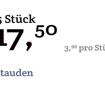 prijskaart 2022 Duits  - Stauden € 3,99 pro Stück - 5 Stück € 17,50 (zonder 