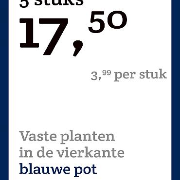 prijskaart 2022 Nederlands - <strong>Vaste planten 3,99 per stuk - 5 stuks 17,50</strong>