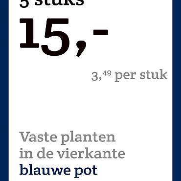 prijskaart 2022 Nederlands - Vaste planten 3,49 per stuk - 5 stuks 15,-