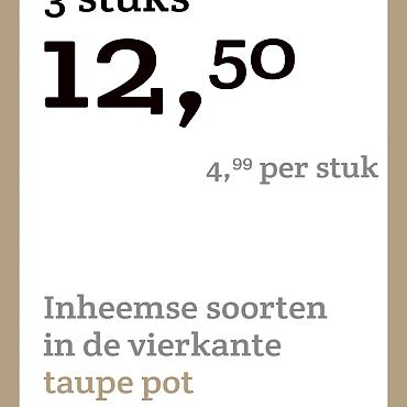 prijskaart 2022 Nederlands - <strong>Inheemse soorten 4,99 per stuk - 3 stuks 12,50</strong>