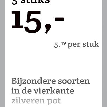 prijskaart 2022 Nederlands - <strong>Bijzondere soorten 5,49 per stuk - 3 stuks 15,-</strong>