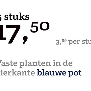 prijskaart 2022 Nederlands - <strong>Vaste planten 3,99 per stuk - 5 stuks 17,50</strong>