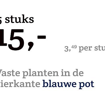 prijskaart 2022 Nederlands - Vaste planten 3,49 per stuk - 5 stuks 15,-