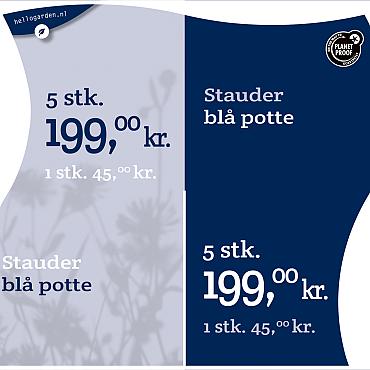 prijsmolen 2022 Deens - Stauder blå potte 1 stk. 45,00kr. - 5 stk. 199,00k