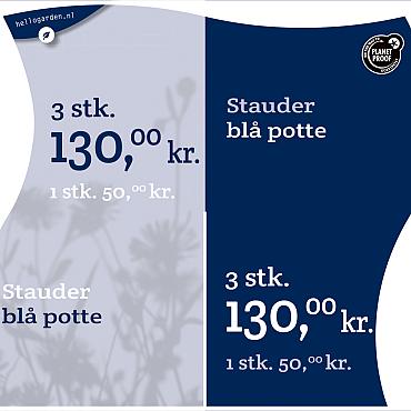 prijsmolen 2022 Deens - Stauder blå potte 1 stk. 50,00kr. - 3 stk. 130,00k