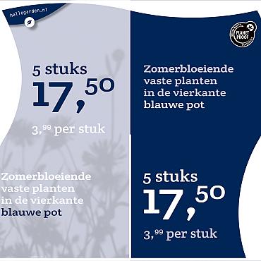 prijsmolen 2022 Nederlands  - Vaste planten 3,99 per stuk - 5 stuks 17,50