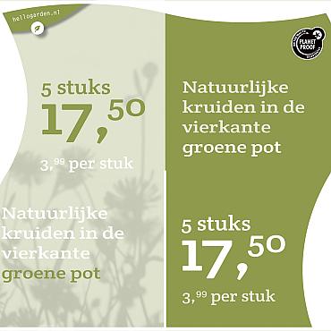 prijsmolen 2022 Nederlands  - Natuurlijke kruiden 3,99 per stuk - 5 stuks 17,50