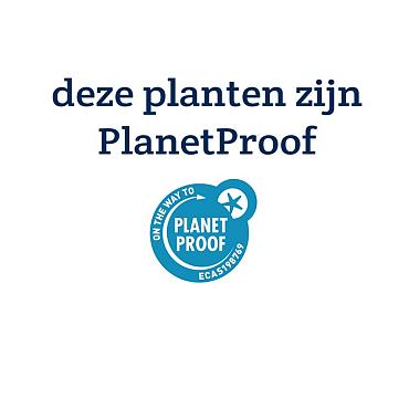 Kaart PlanetProof - deze planten zijn PlanetProof