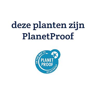 Kaart PlanetProof - deze planten zijn PlanetProof