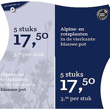 prijsmolen 2022 Nederlands  - Vaste planten 3,99 per stuk - 5 stuks 17,50