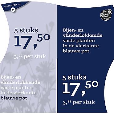 prijsmolen 2022 Nederlands  - Vaste planten 3,99 per stuk - 5 stuks 17,50