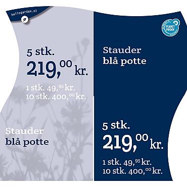 prijsmolen 2022 Deens - Stauder blå potte 1 stk. 49,95kr. - 5 stk. 219,00kr. - 10 stk. 400,00kr.