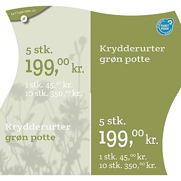 prijsmolen 2022 Deens - Krydderurter grøn potte 1 stk. 45,00kr. - 5 stk. 199,00kr. - 10 stk. 350,00kr.