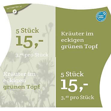 prijsmolen 2022 Duits - Kräuter € 3,49 pro Stück - 5 Stück € 15,-