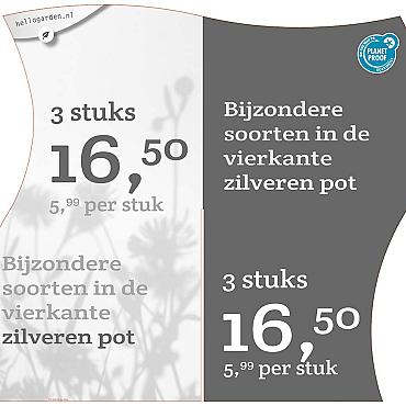 prijsmolen 2022 Nederlands  - Bijzondere soorten 5,99 per stuk - 3 stuks 16,50