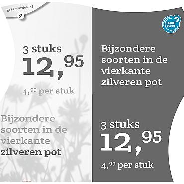 prijsmolen 2022 Nederlands  - Bijzondere soorten 4,99 per stuk - 3 stuks 12,95