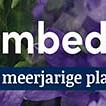 tafelbanner 2025 Nederlands - <strong>bodembedekkend</strong>