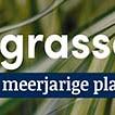 tafelbanner 2025 Nederlands - <strong>grassen</strong>