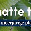 tafelbanner 2025 Nederlands - natte tuin