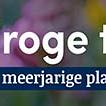 tafelbanner 2025 Nederlands - droge tuin