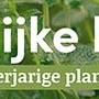 tafelbanner 2025 Nederlands - natuurlijke kruiden