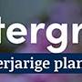 tafelbanner 2025 Nederlands - wintergroen