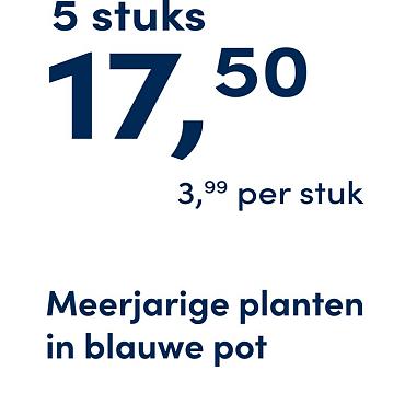 prijskaart 2025 Nederlands - blauwe pot 3,99 per stuk - 5 stuks 17,50