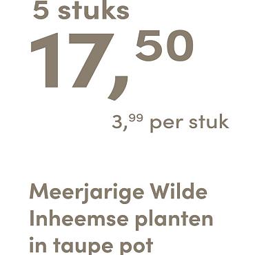 prijskaart 2025 Nederlands - taupe pot 3,99 per stuk - 5 stuks 17,50