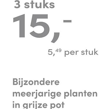 prijskaart 2025 Nederlands - grijze pot 5,49 per stuk - 3 stuks 15,-