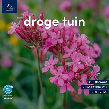 zeildoek 2025 Nederlands - droge tuin