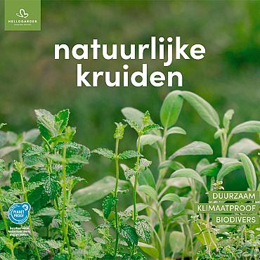 zeildoek 2025 Nederlands - natuurlijke kruiden