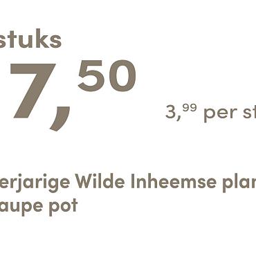 prijskaart 2025 Nederlands - taupe pot 3,99 per stuk - 5 stuks 17,50