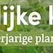 tafelbanner 2025 Nederlands - natuurlijke kruiden