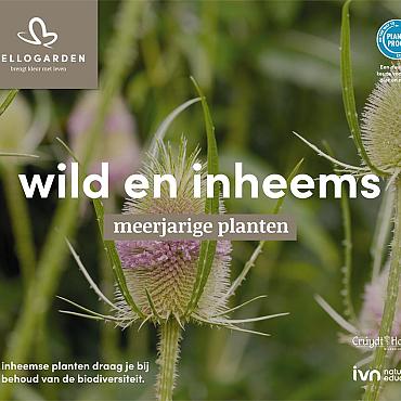 displaybord 2025 Nederlands - wild en inheems