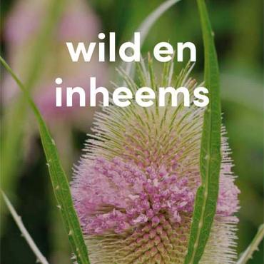 vlag 2025 Nederlands - wild en inheems