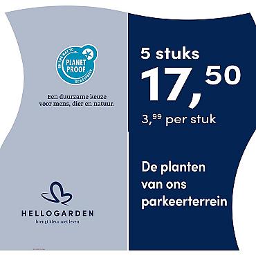 prijsmolen 2025 Nederlands - blauwe pot 3,99 per stuk - 5 stuks 17,50