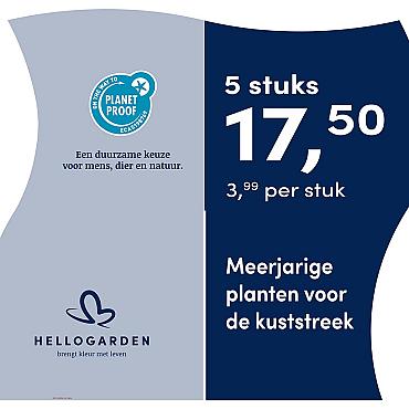 prijsmolen 2025 Nederlands - blauwe pot 3,99 per stuk - 5 stuks 17,50