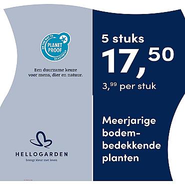 prijsmolen 2025 Nederlands - blauwe pot 3,99 per stuk - 5 stuks 17,50