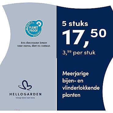 prijsmolen 2025 Nederlands - blauwe pot 3,99 per stuk - 5 stuks 17,50