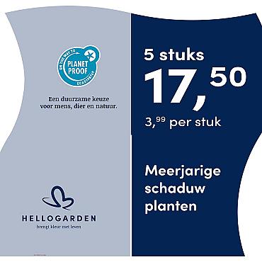 prijsmolen 2025 Nederlands - blauwe pot 3,99 per stuk - 5 stuks 17,50