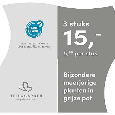 prijsmolen 2025 Nederlands - grijze pot 5,99 per stuk - 3 stuks 15,-