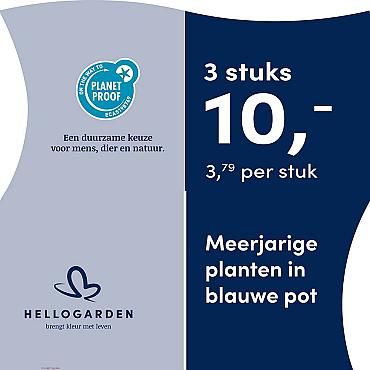 prijsmolen 2025 Nederlands - blauwe pot 3,79 per stuk - 3 stuks 10,-