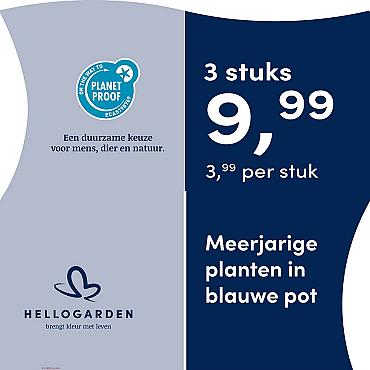 prijsmolen 2025 Nederlands - blauwe pot 3,99 per stuk - 3 stuks 9,99