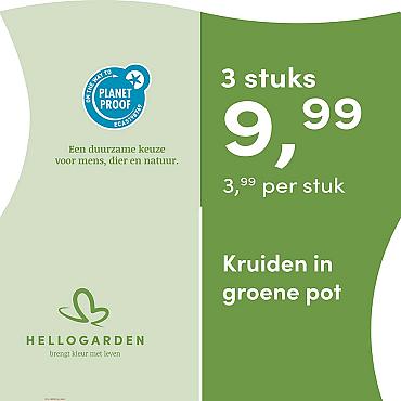 prijsmolen 2025 Nederlands - groene pot 3,99 per stuk - 3 stuks 9,99