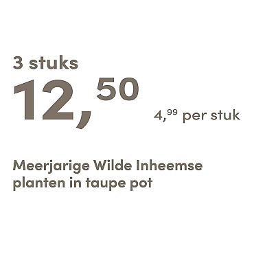 prijskaart 2025 Nederlands - taupe pot 4,99 per stuk - 3 stuks 12,50