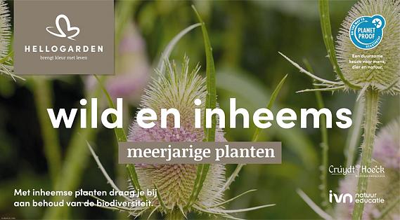 displaybord 2025 Nederlands - wild en inheems