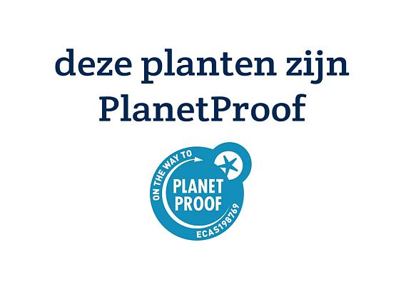 Kaart PlanetProof - deze planten zijn PlanetProof