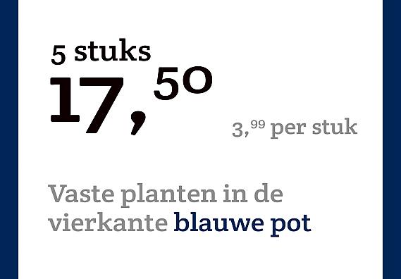 prijskaart 2022 Nederlands - <strong>Vaste planten 3,99 per stuk - 5 stuks 17,50</strong>