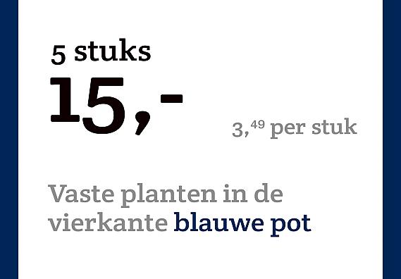 prijskaart 2022 Nederlands - Vaste planten 3,49 per stuk - 5 stuks 15,-