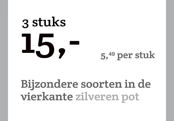 prijskaart 2022 Nederlands - <strong>Bijzondere soorten 5,49 per stuk - 3 stuks 15,-</strong>